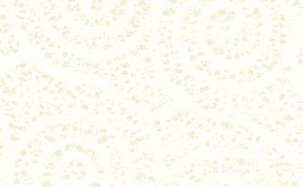 BackGrounds